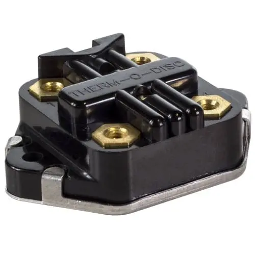 Raypak Heater High Limit 001811F 1