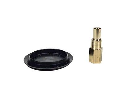 Raypak Rear Drain Plug And Cover 005264F 1
