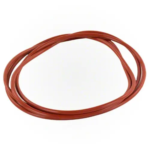 Raypak Digital O-Ring Gasket (2) 006713F 1