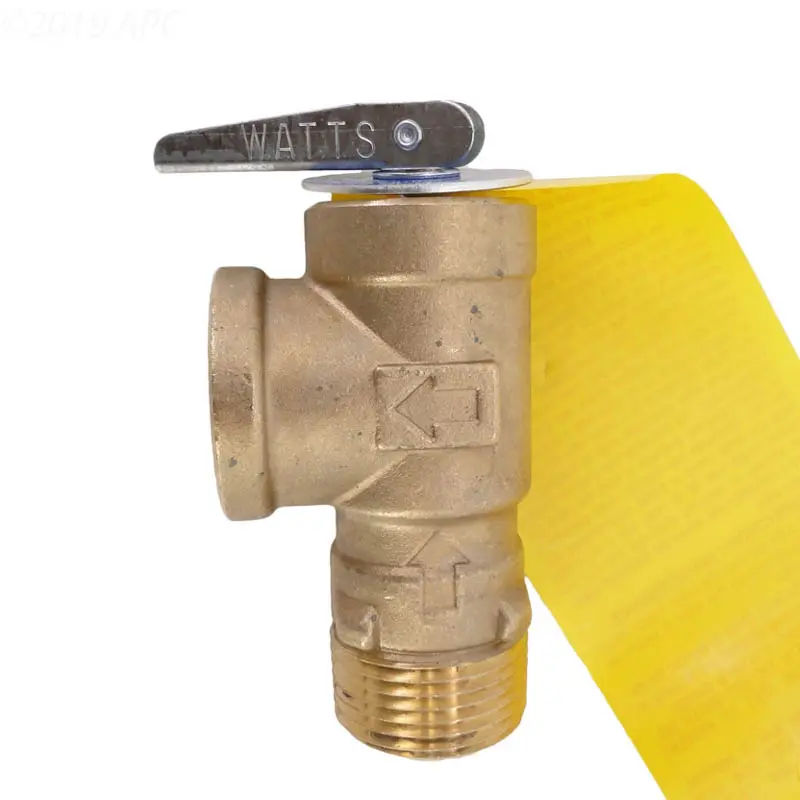 Raypak Pressure Relief Valve 008091F 1