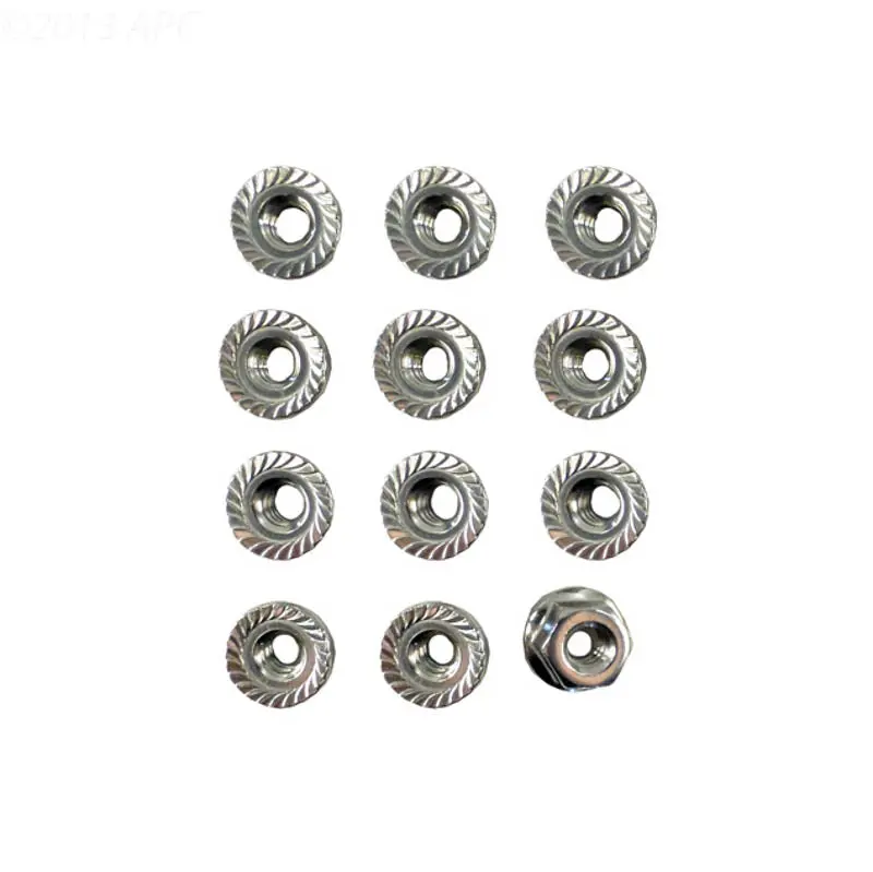 Raypak Digital Flange Nut Kit 008259F 1