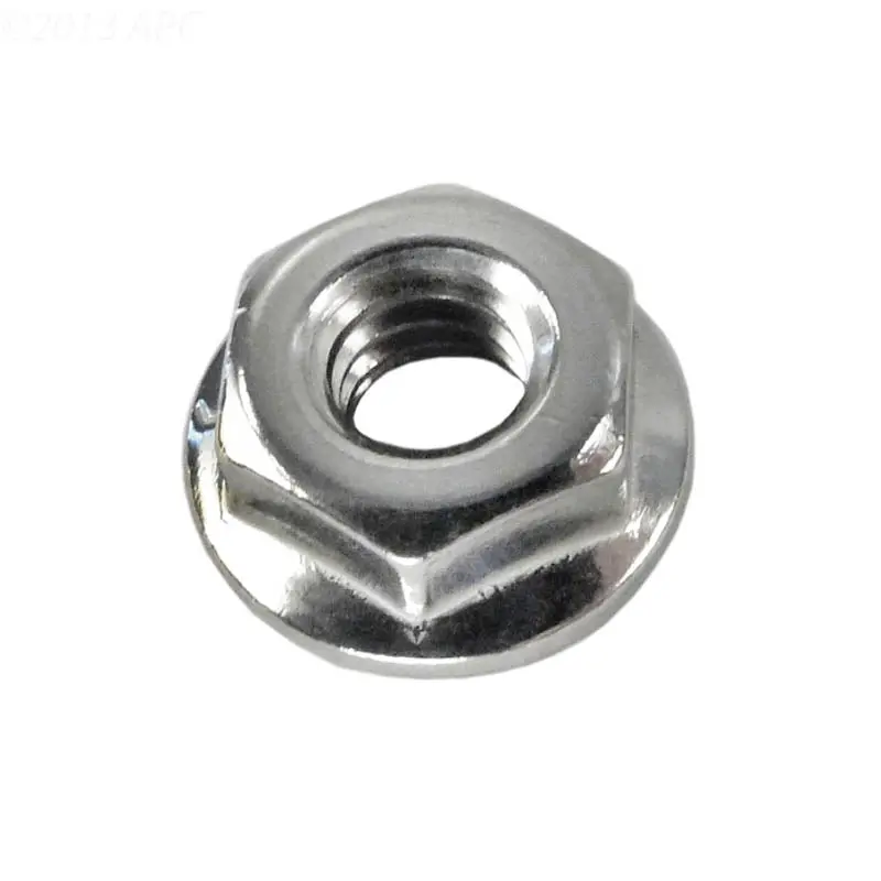Raypak Digital Flange Nut Kit 008259F 2