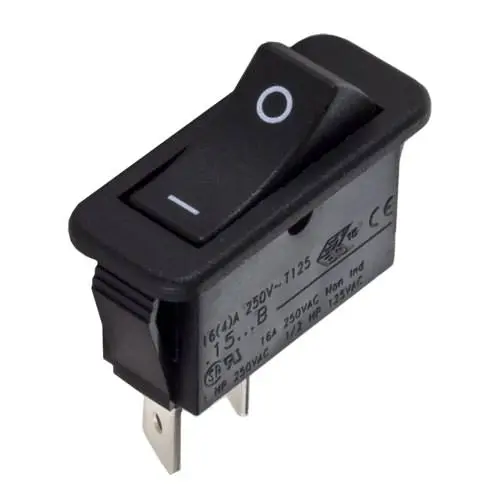 Raypak Rocker Switch 009493F 1