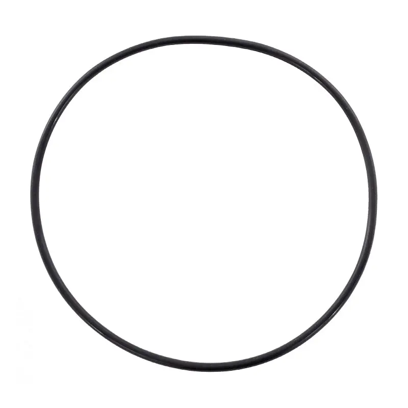 Pool Frog O-Ring 01-22-1922 1