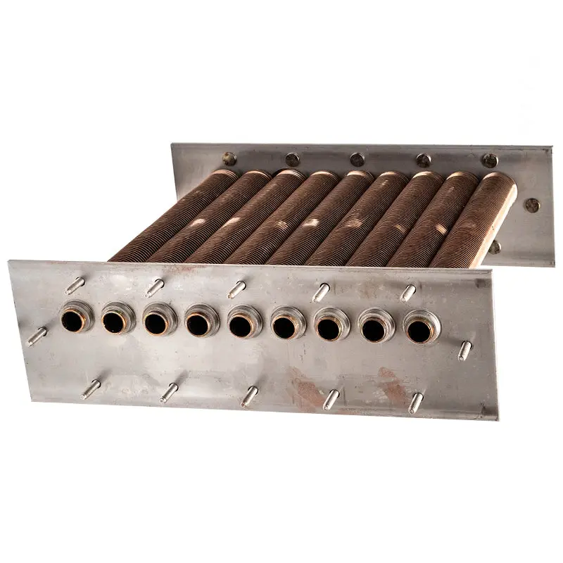 Raypak Digital Cupro Nickel Tube Bundle 010364F 2
