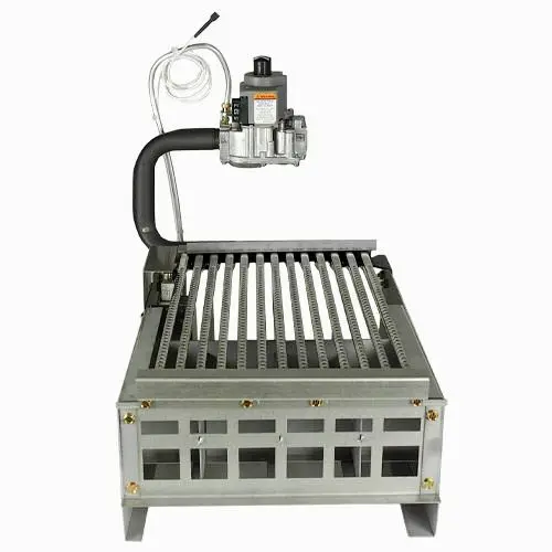 Raypak Digital Burner Tray With Natural Gas Valve Iid 010407F 1