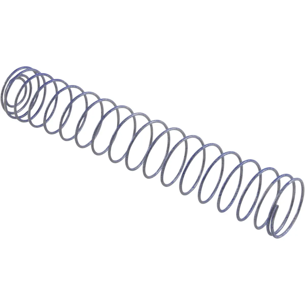 Raypak Bypass Spring 011602F 1