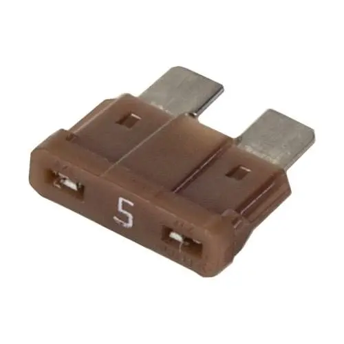 Raypak Digital 5 Amp Fuse 013733F 1