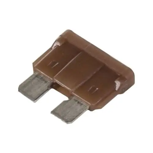 Raypak Digital 5 Amp Fuse 013733F 2