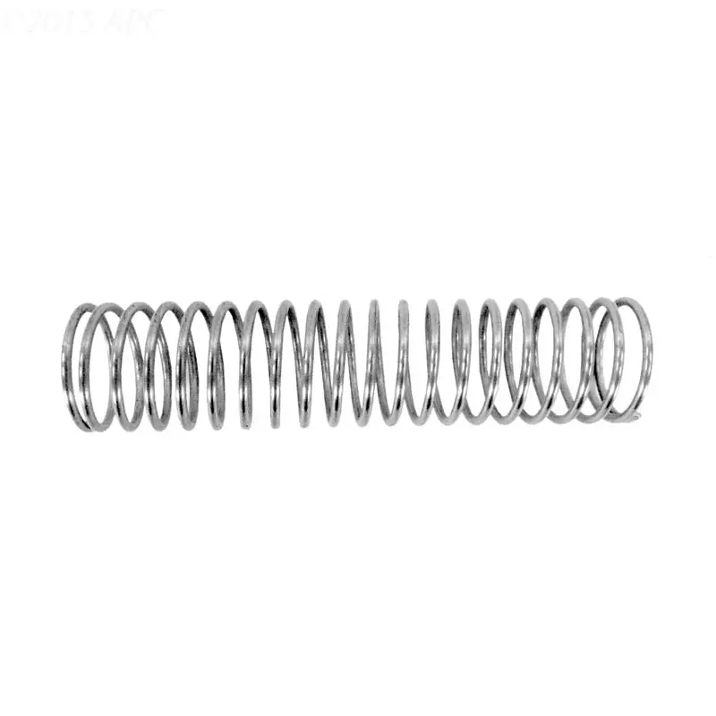 Raypak Spring Bypass 013794F 1