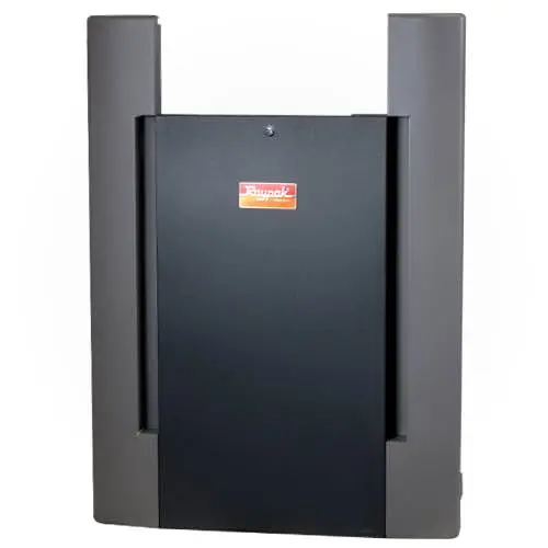 Raypak Door Assembly 013861F 1
