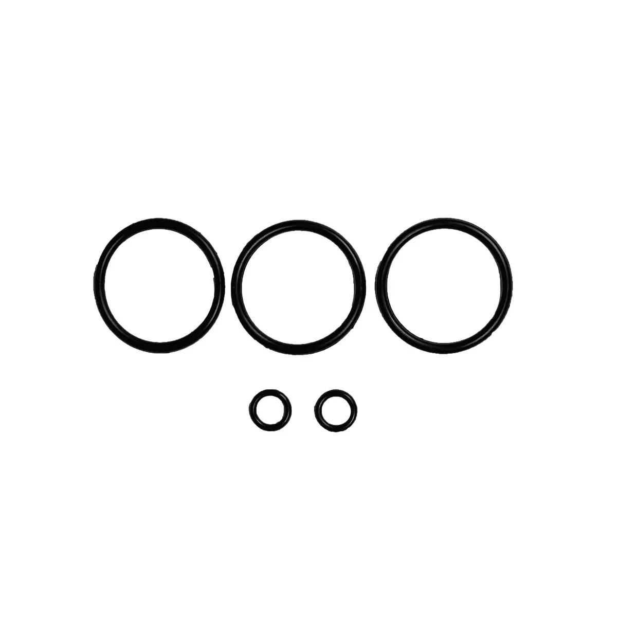 Raypak O-Rings 017157F 1