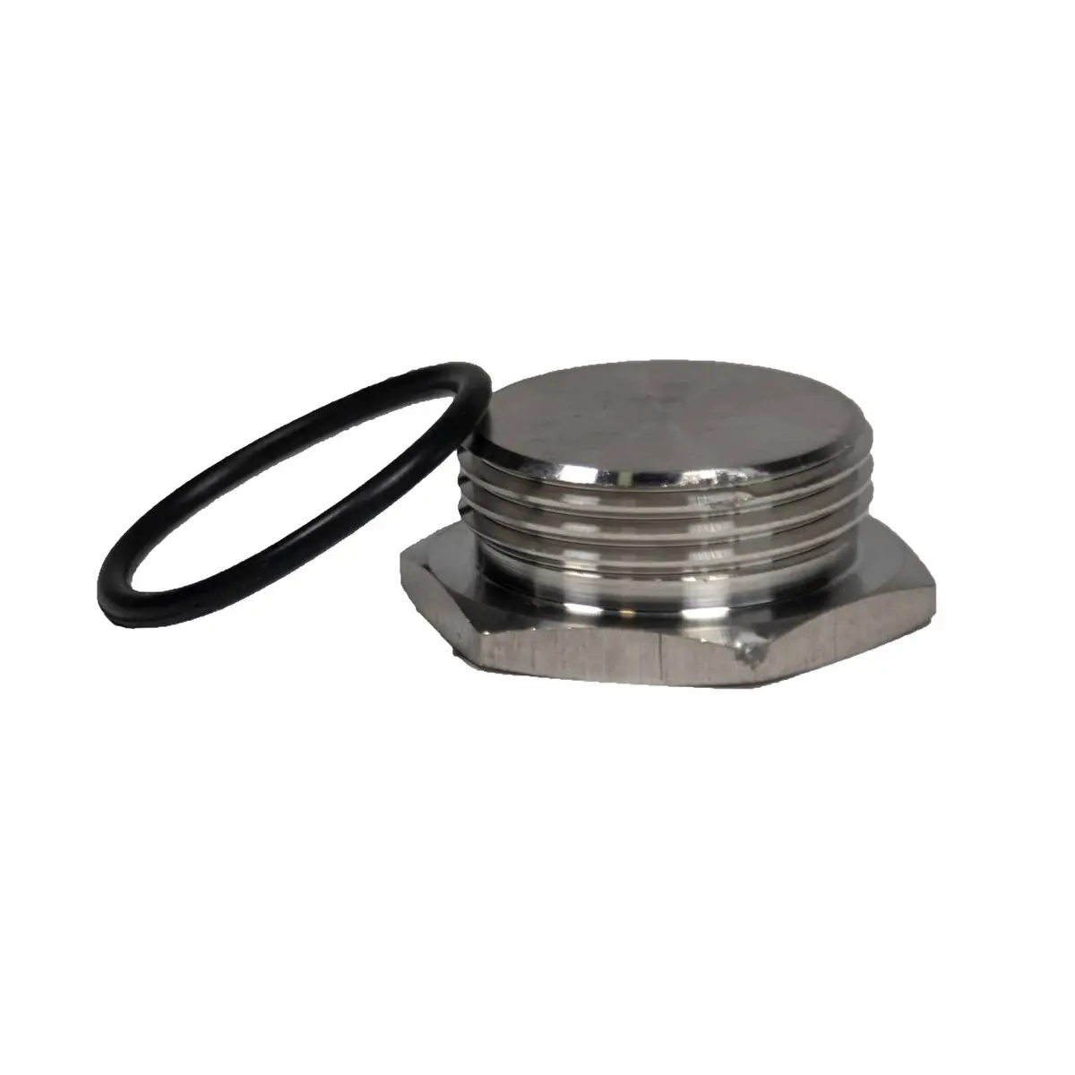 Raypak Pipe Plug 017158F 1