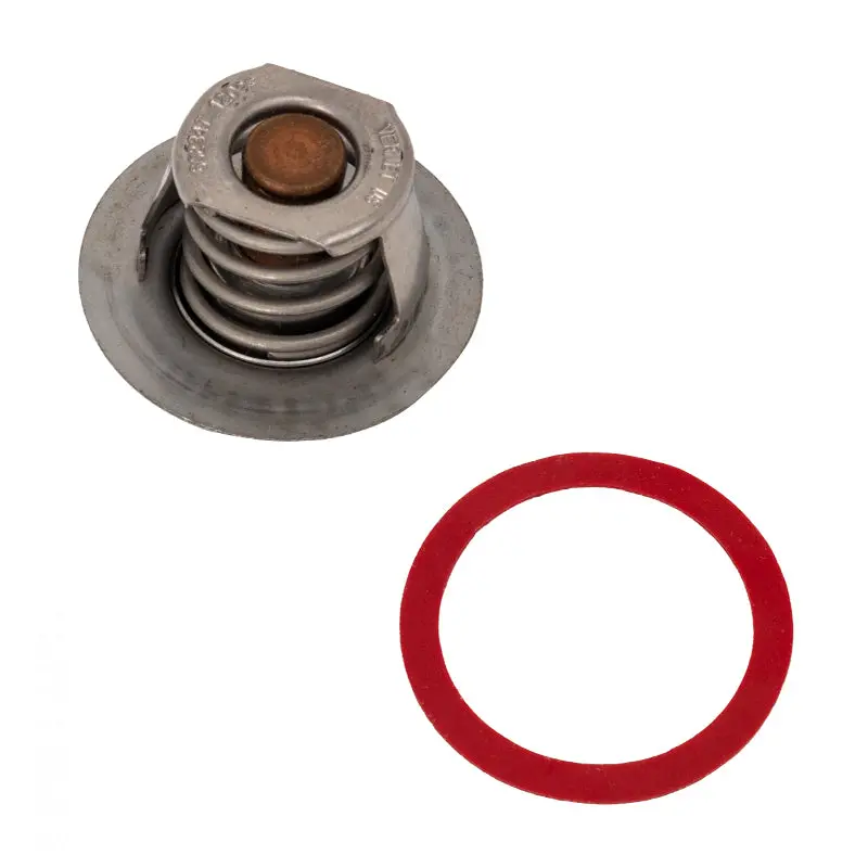 Raypak Unitherm Governor 019062F 1