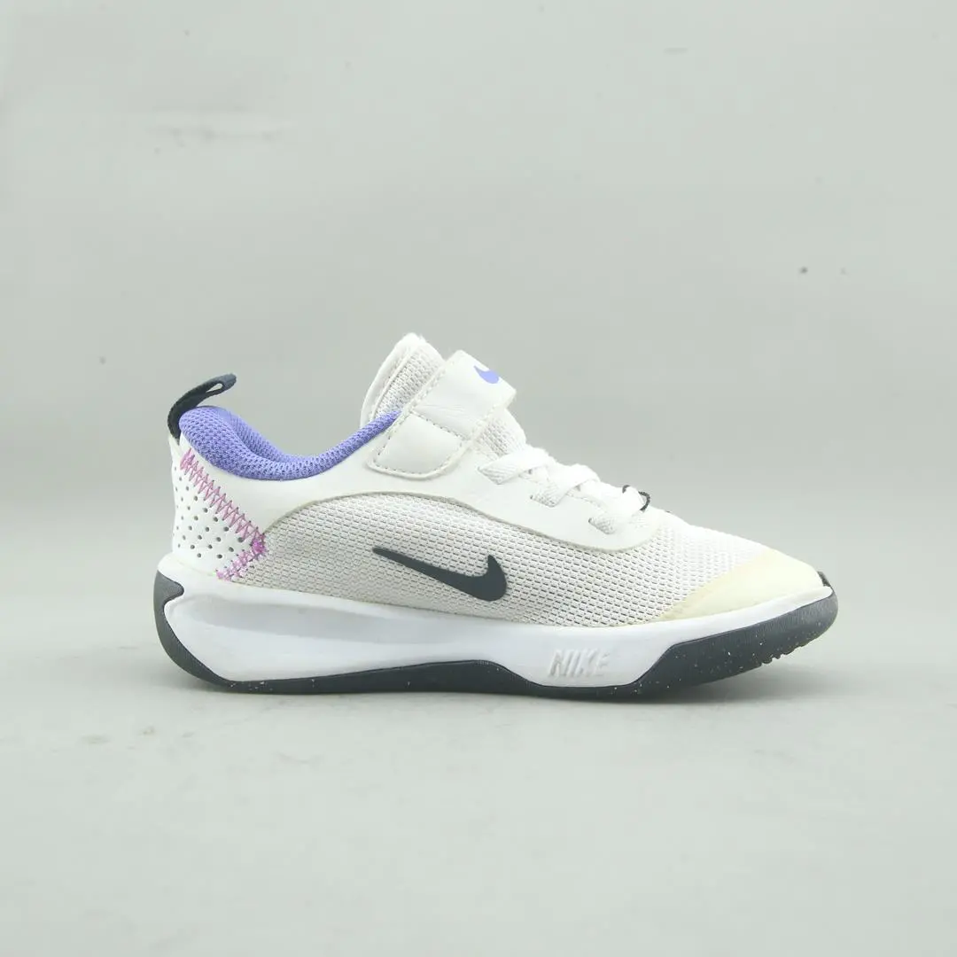 Nike Omni Multi-Court 2