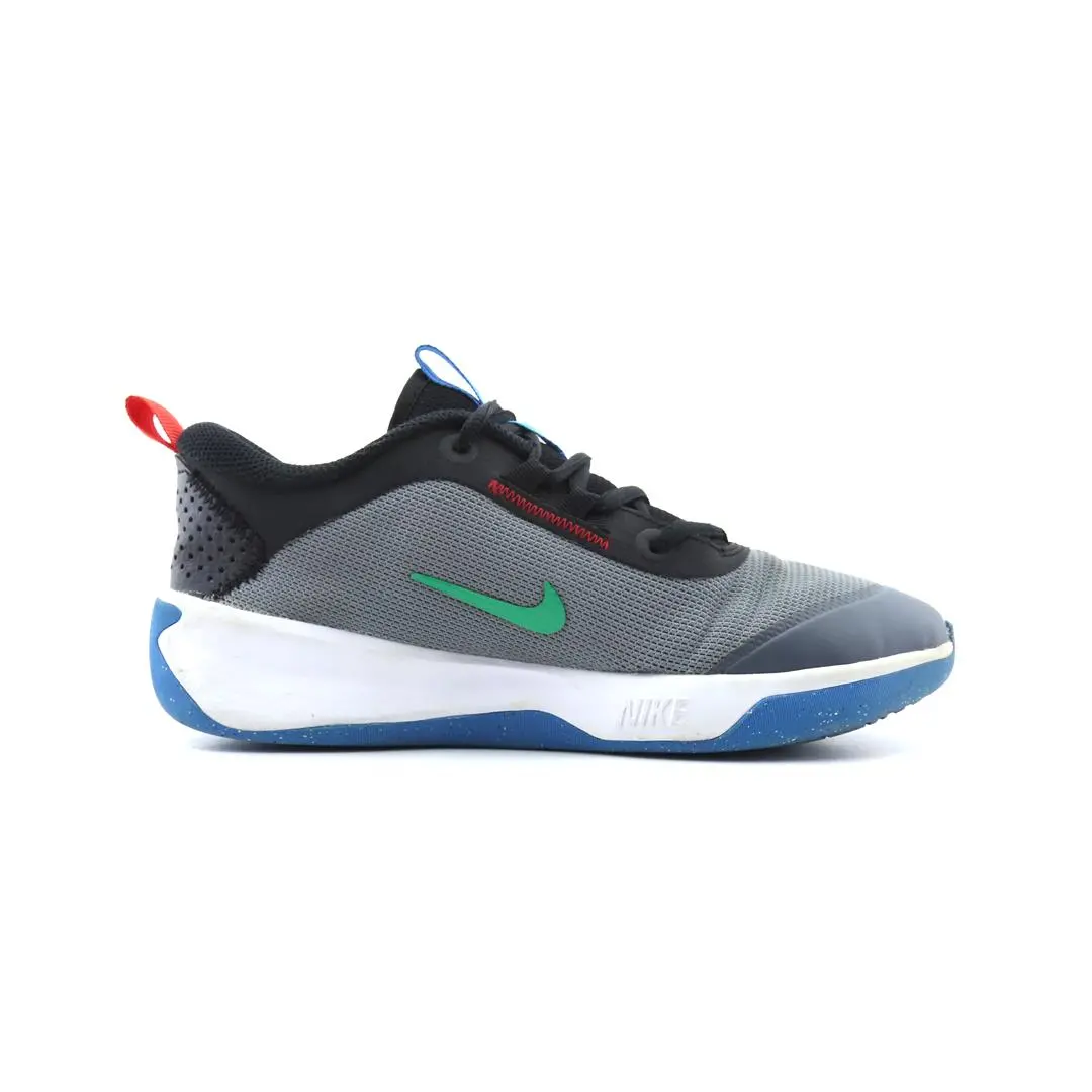 Nike Omni Multi-Court 2