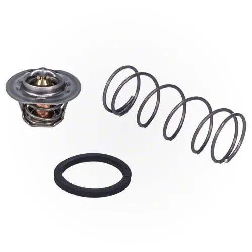 Raypak Unitherm Governor 062234B 1