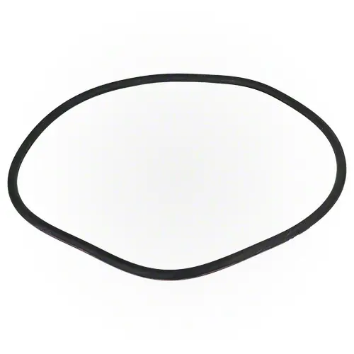 Pentair O-Ring 071442Z 1