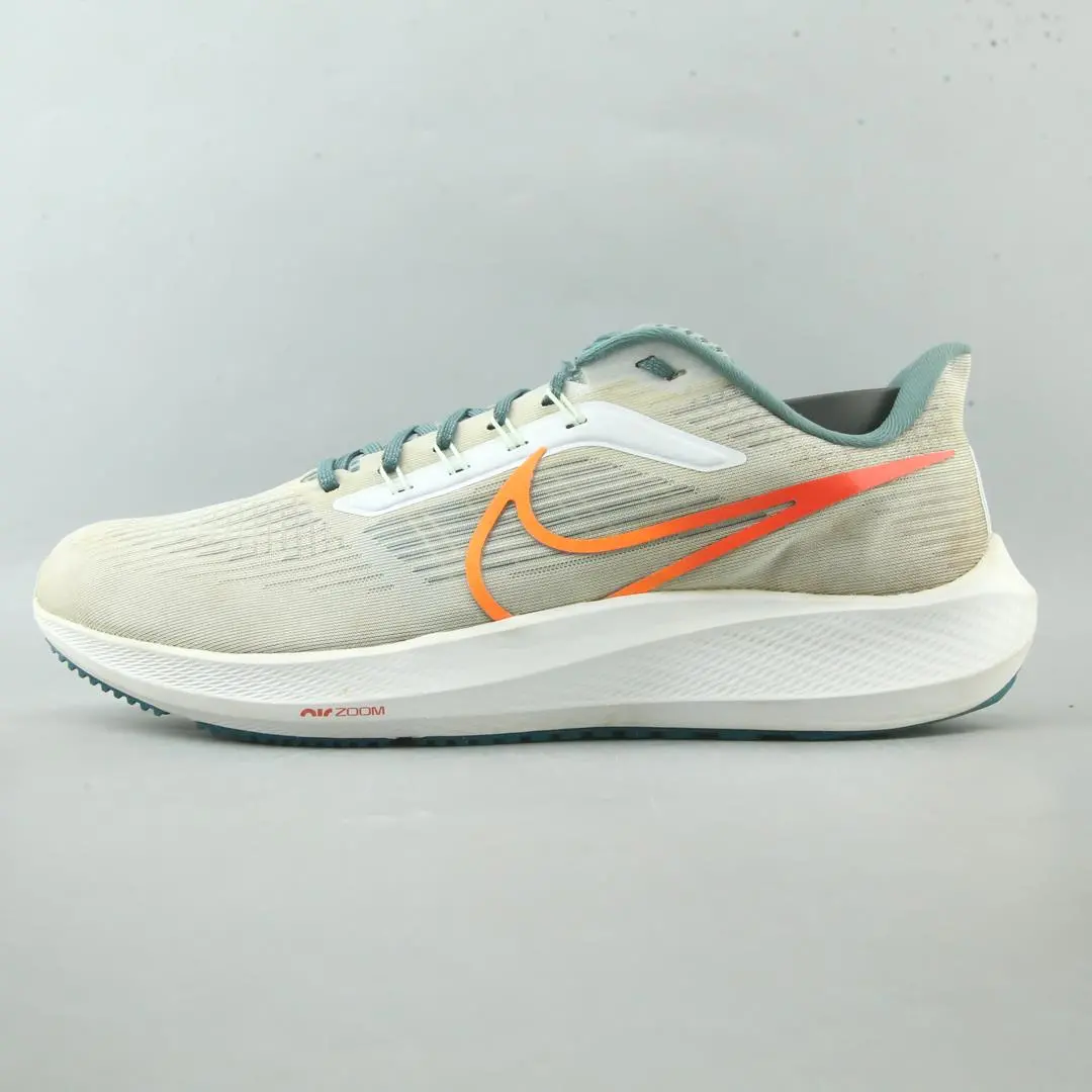 Nike Air Zoom Pegasus 39 1