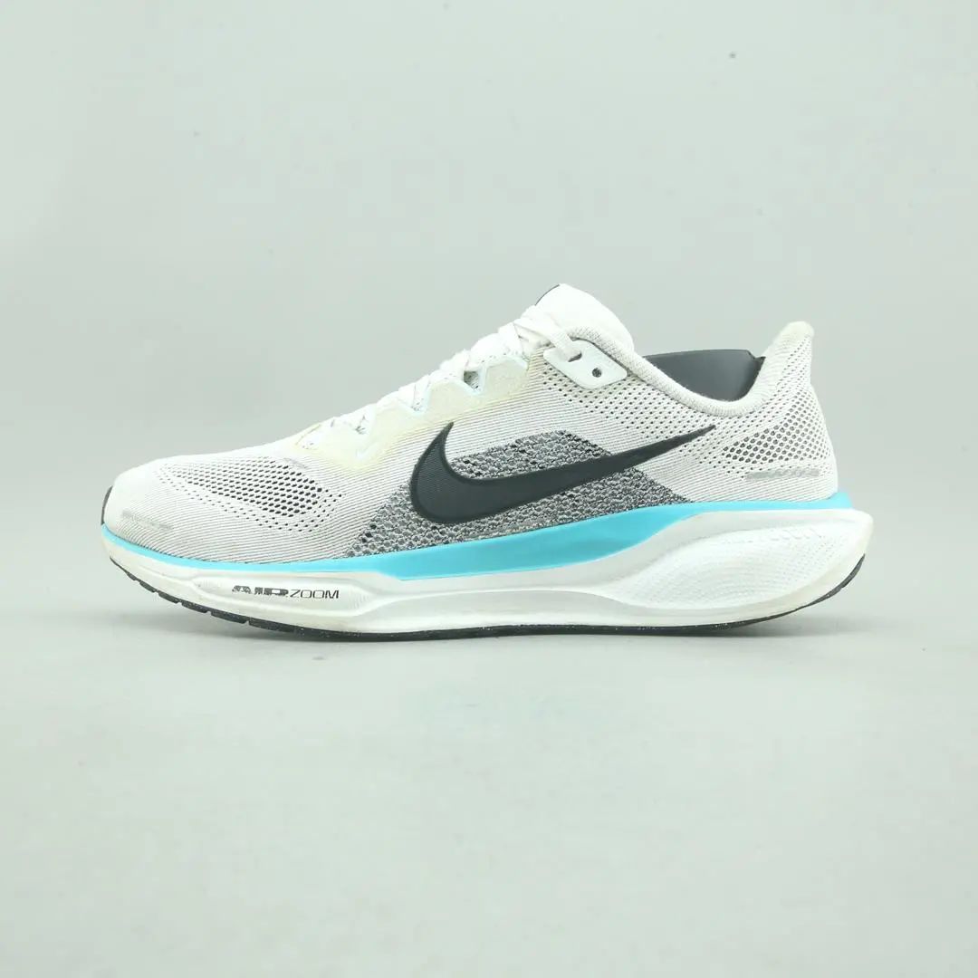 Nike Air Zoom Pegasus 41 1