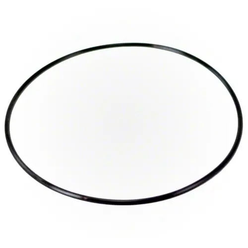 Pentair Valve O-Ring 152501 1