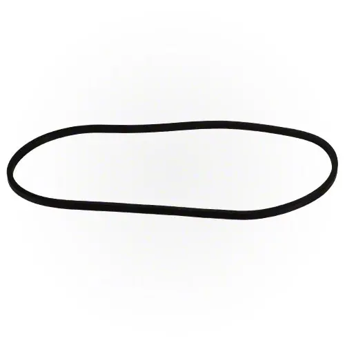 Pentair O-Ring 152509Z 1
