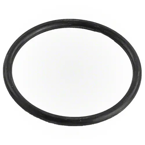 Pentair Bulkhead O-Ring 154492 1