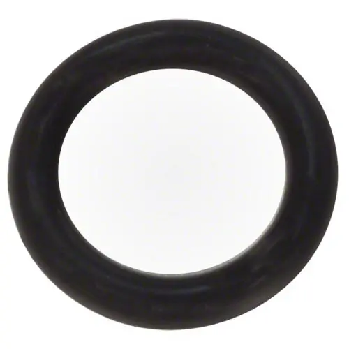 Pentair Air Bleed Adapter O-Ring 154661 1