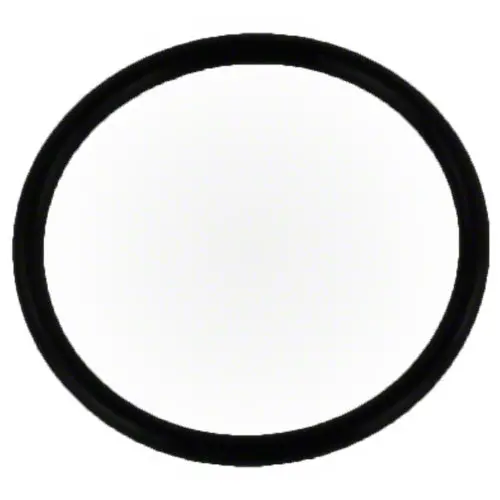 Pentair O-Ring 155064 1