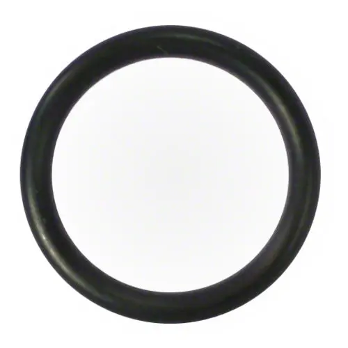 Pentair O-Ring 191479Z 1