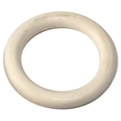 Pentair Drain Plug O-Ring 192115Z 1