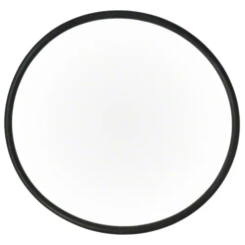 Pentair O-Ring 192320 1