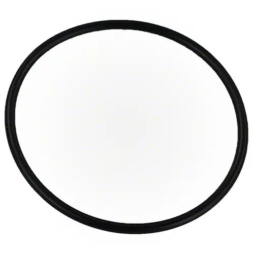 Pentair O-Ring 192323Z 1