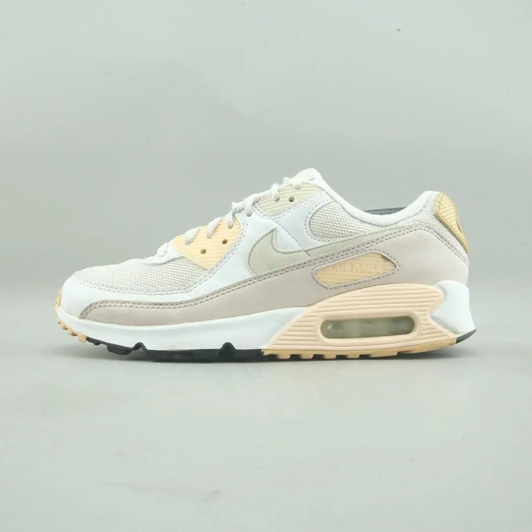 Nike Air Max 90 1