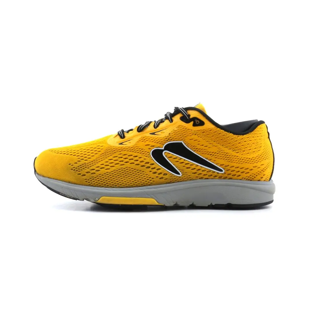 Newton  Gravity 13 1