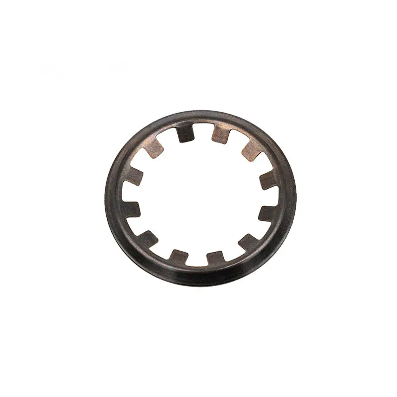 Pentair Clamp Retaining Ring 24850-0016 1