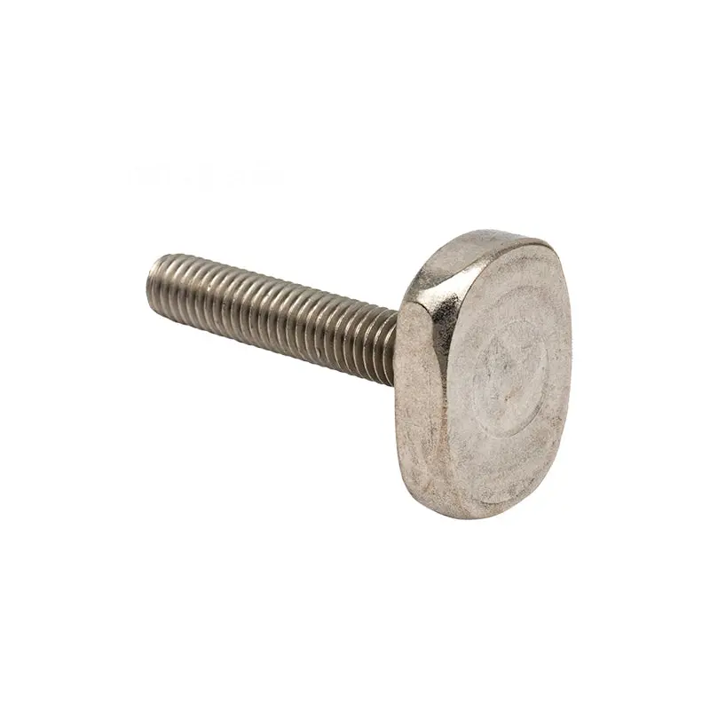 Sta-Rite Clamp Bolt 24850-0010Z 1