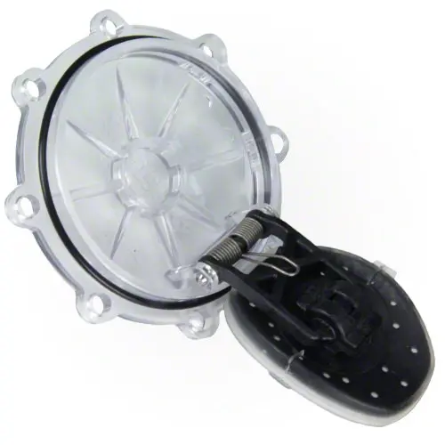 Pentair Check Valve Replacement Kit 263042Z 2