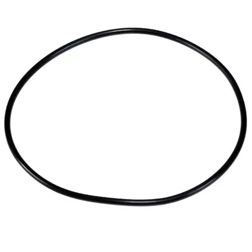Pentair O-Ring 270116Z 1