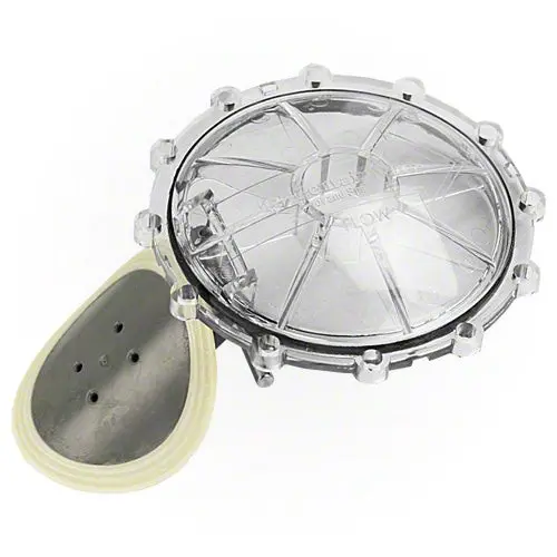 Pentair Check Valve Replacement Kit 270119Z 1