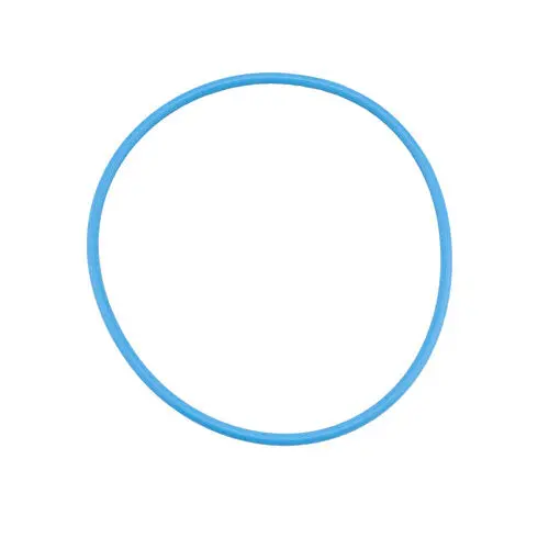 Pentair O-Ring 270197Z 1