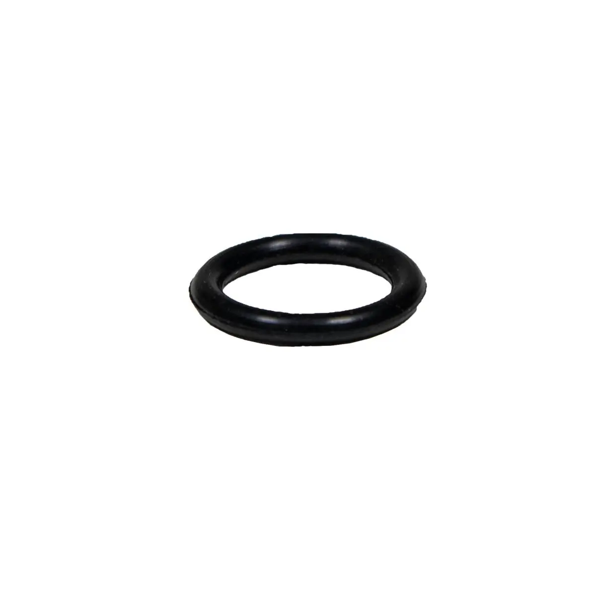 Pentair Drain Plug O-Ring 272573Z 1