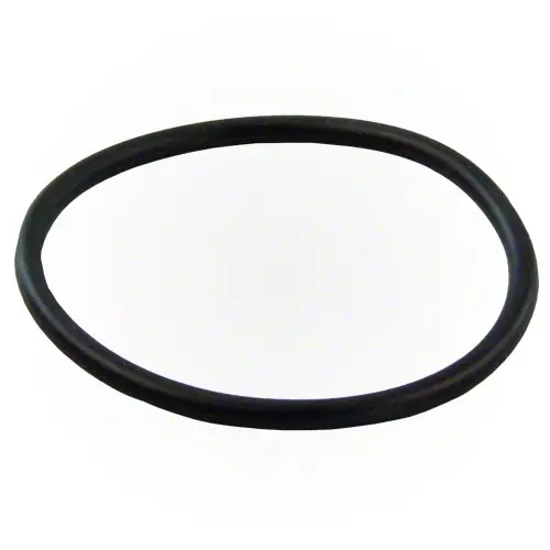 Pentair O-Ring 273062 1