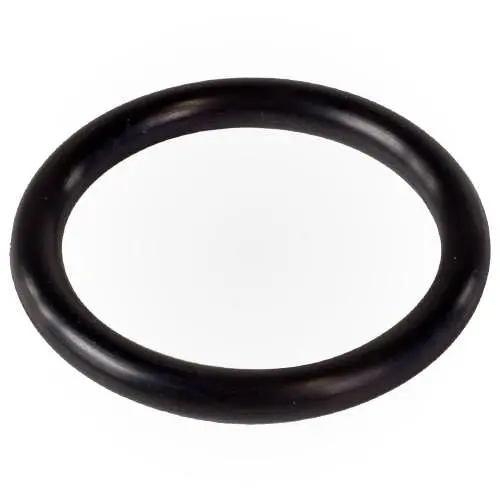 Pentair O-Ring 273090 1