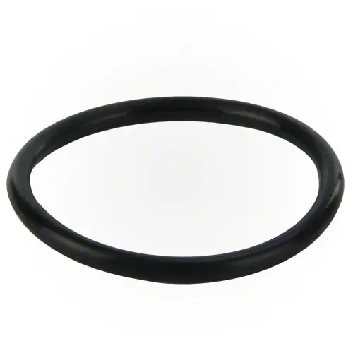 Pentair O-Ring 274494Z 1