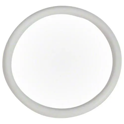 Pentair O-Ring 274495Z 1
