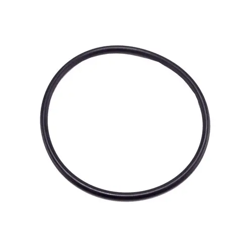 Speck Pump Diffuser O-Ring 2920141210 1