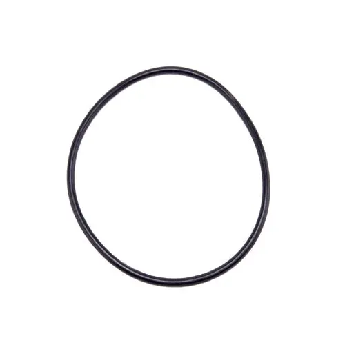 Speck Pump Lid O-Ring 2921141210 1