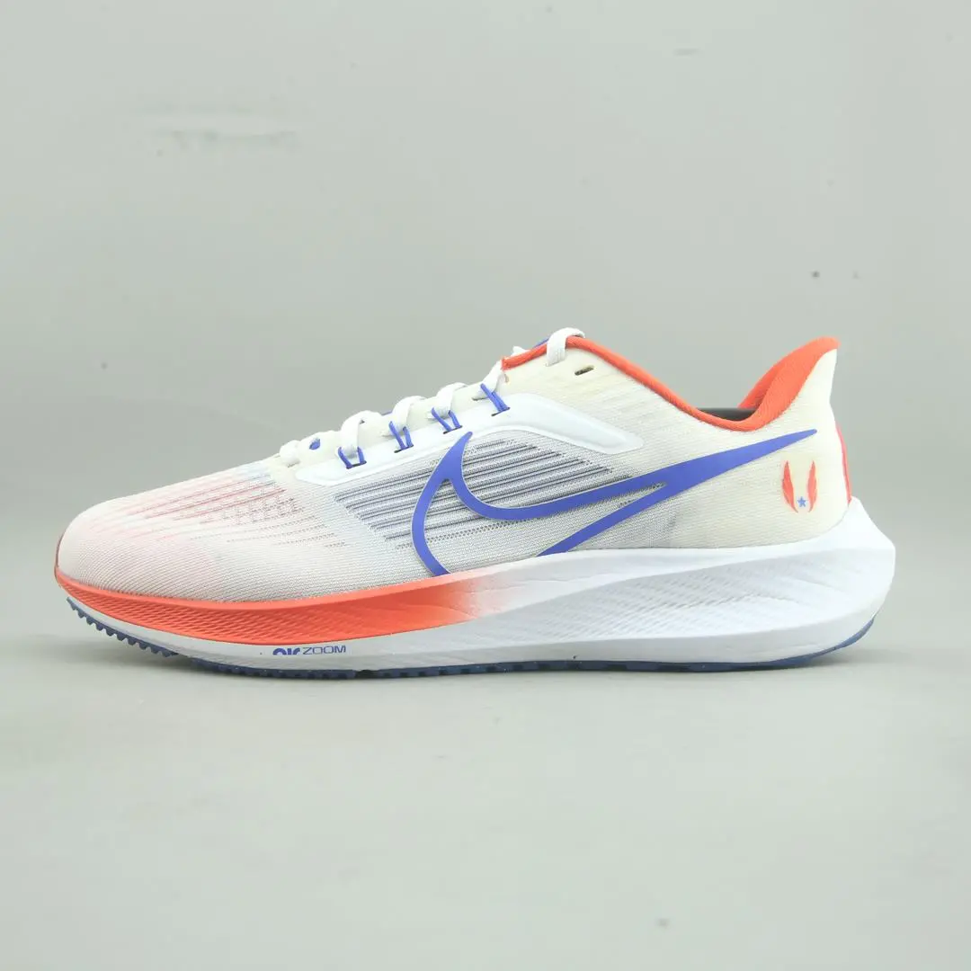 Nike Air Zoom Pegasus 39 1