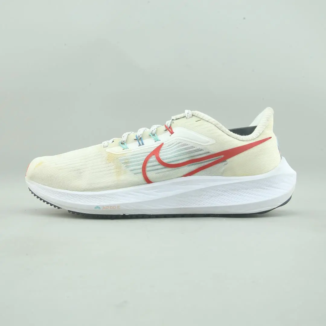 Nike Air Zoom Pegasus 39 ' 1